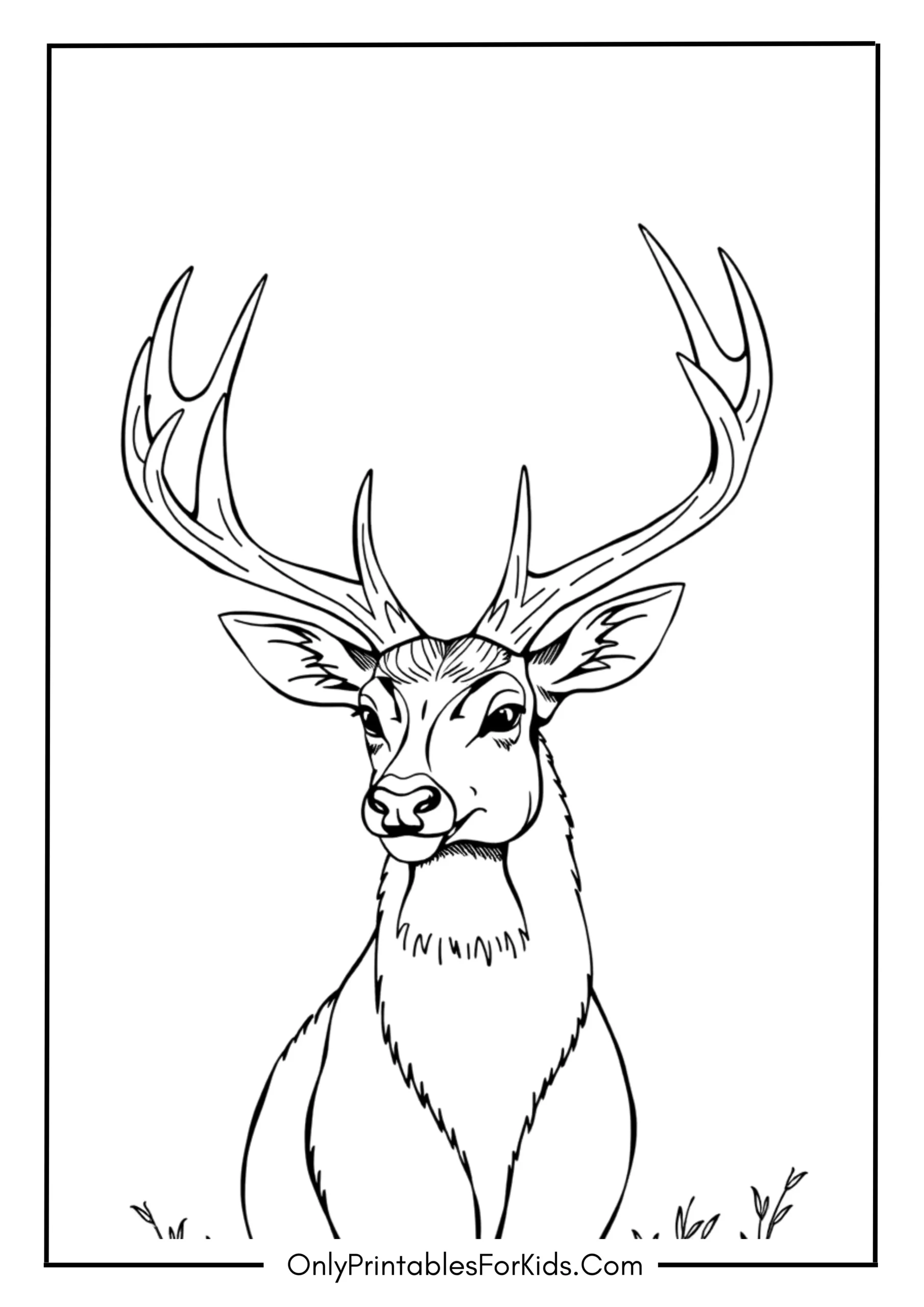 Deer with Majestic Antlers