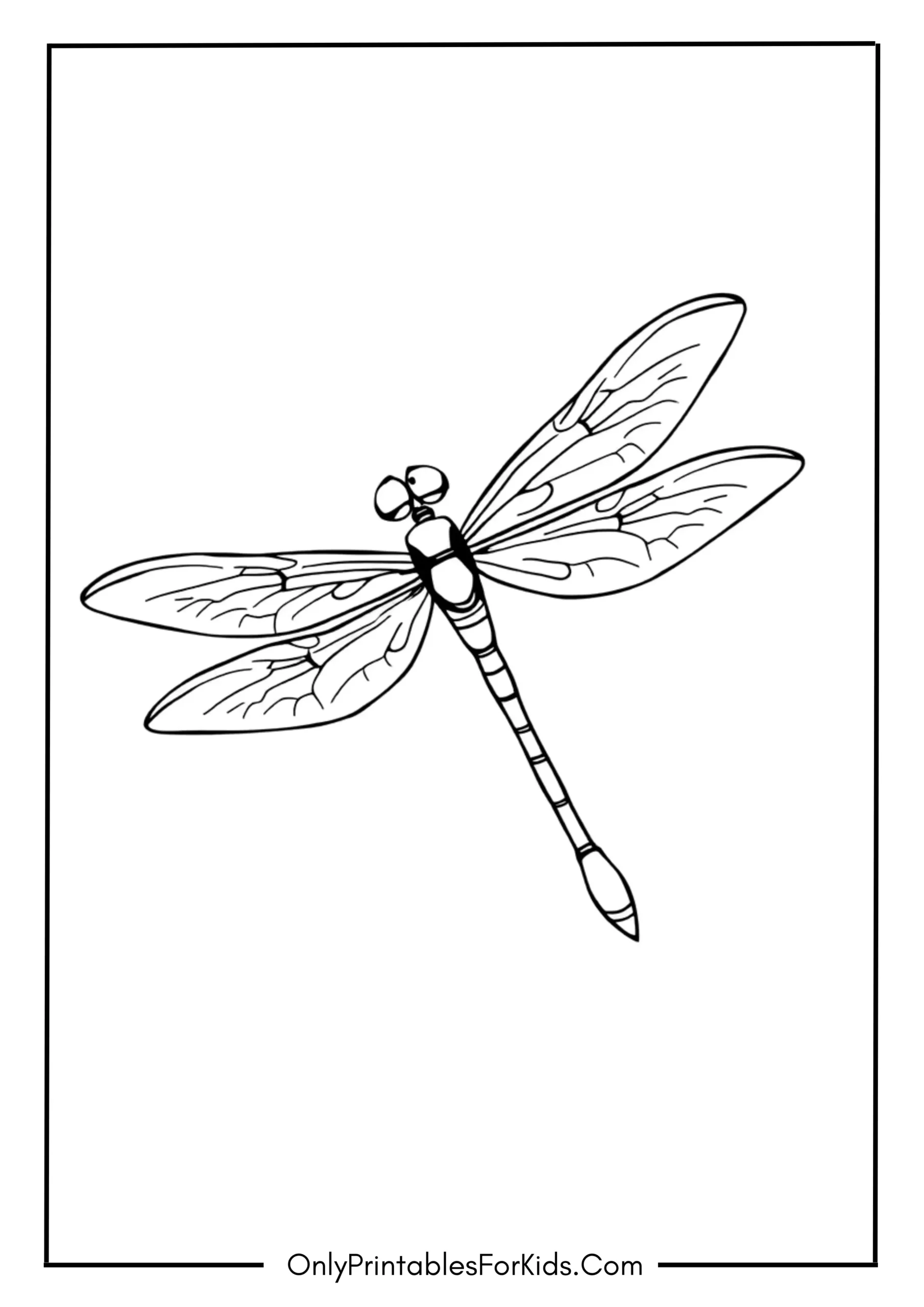 Dragonfly Coloring Page