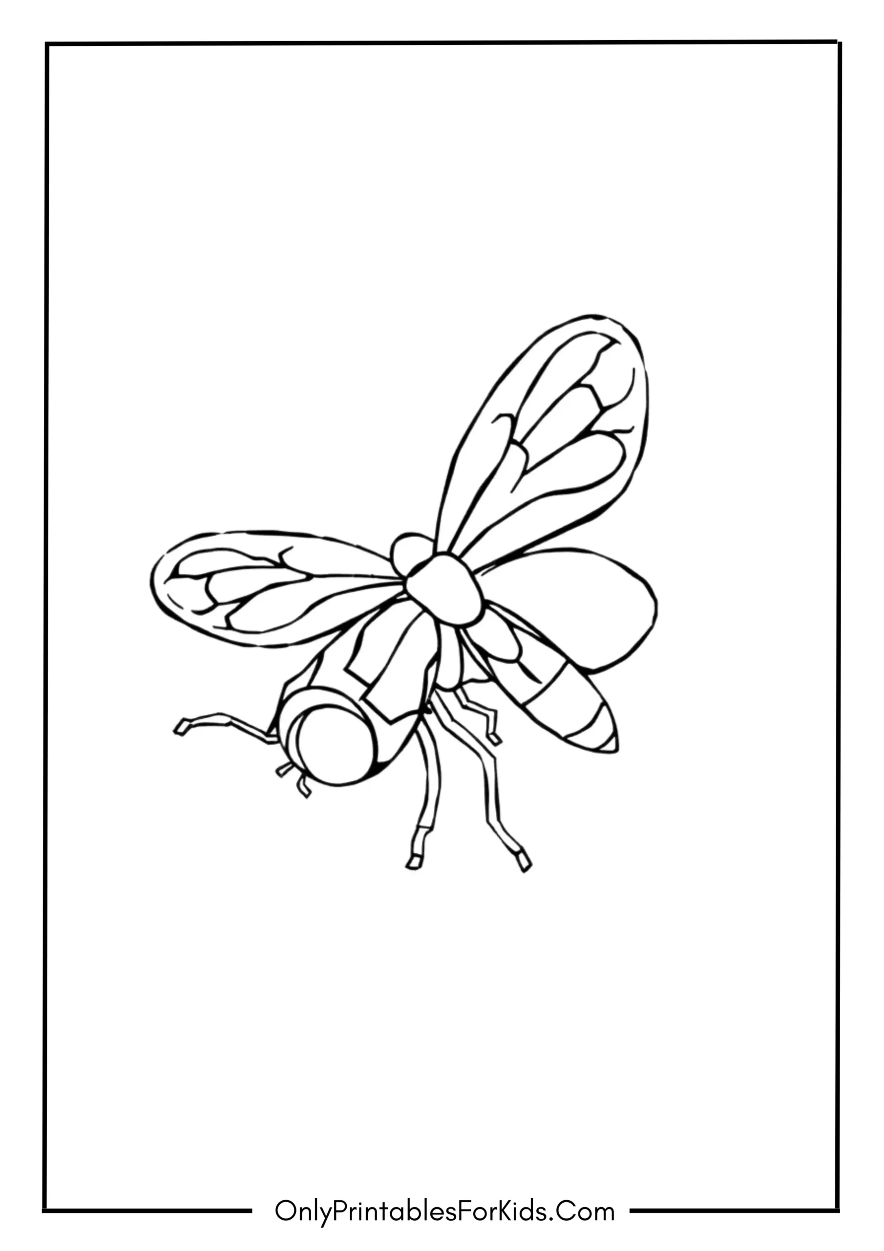Firefly Coloring Page