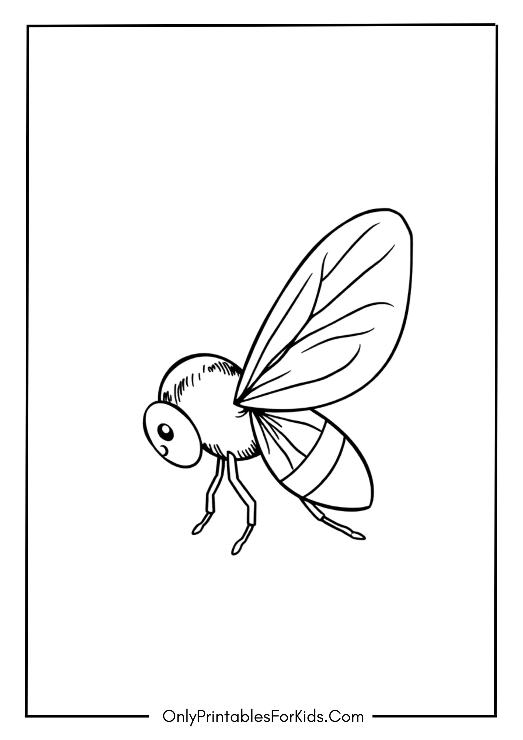Fly Coloring Page