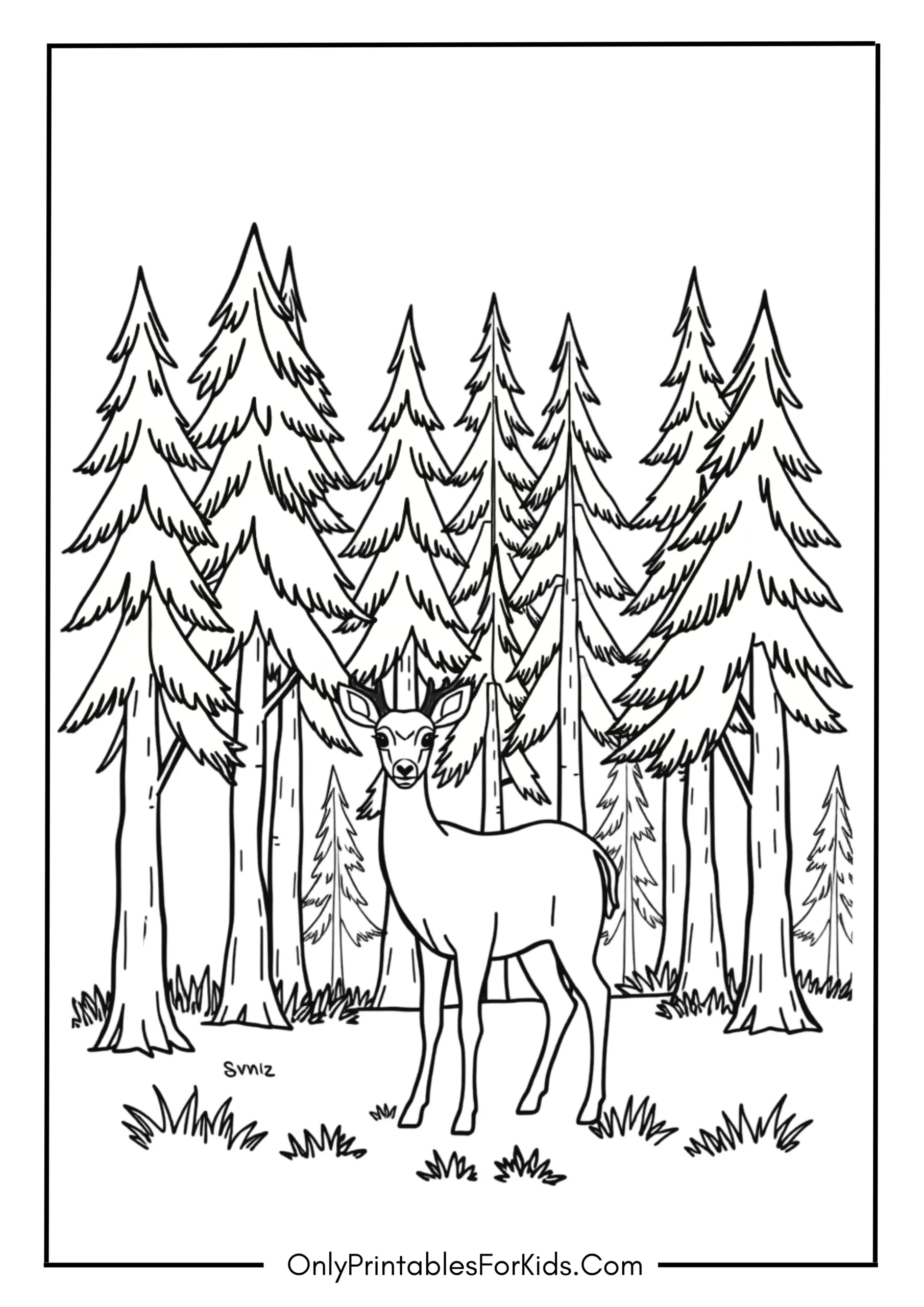 Gentle Deer Standing in a Forest