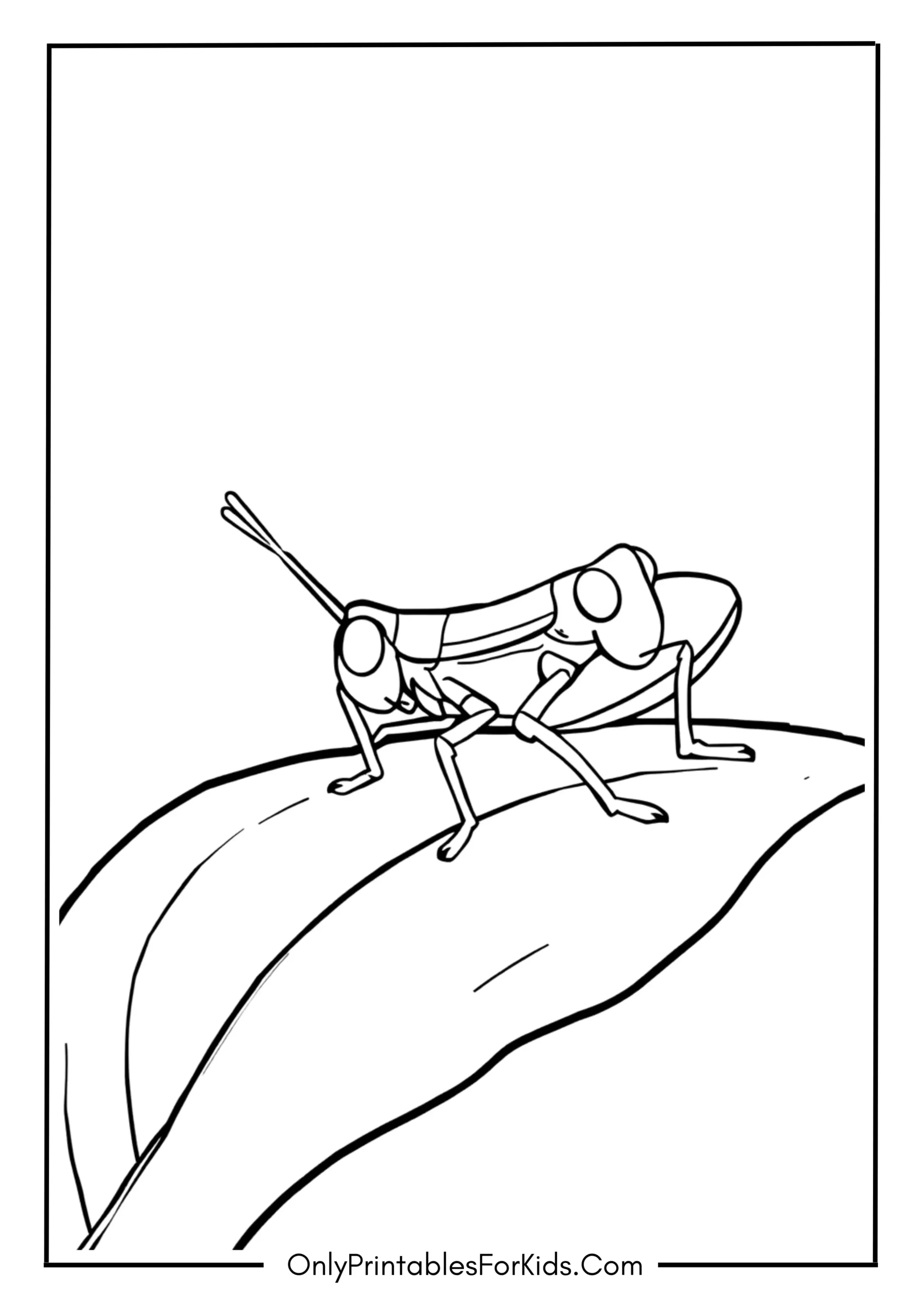 Grasshopper Coloring Page