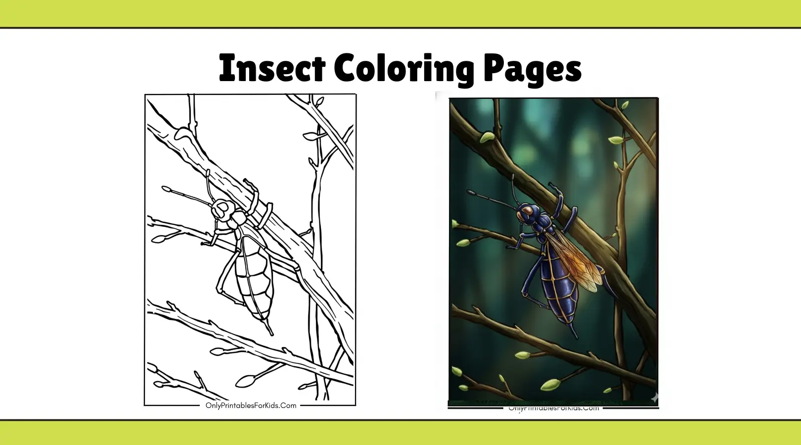 Fun Insect Coloring Pages to Print and Enjoy