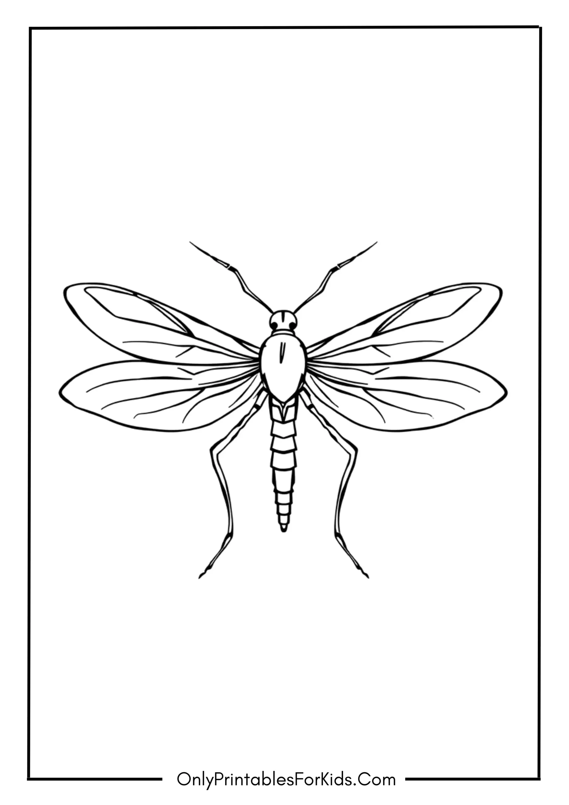 Mosquito Coloring Page