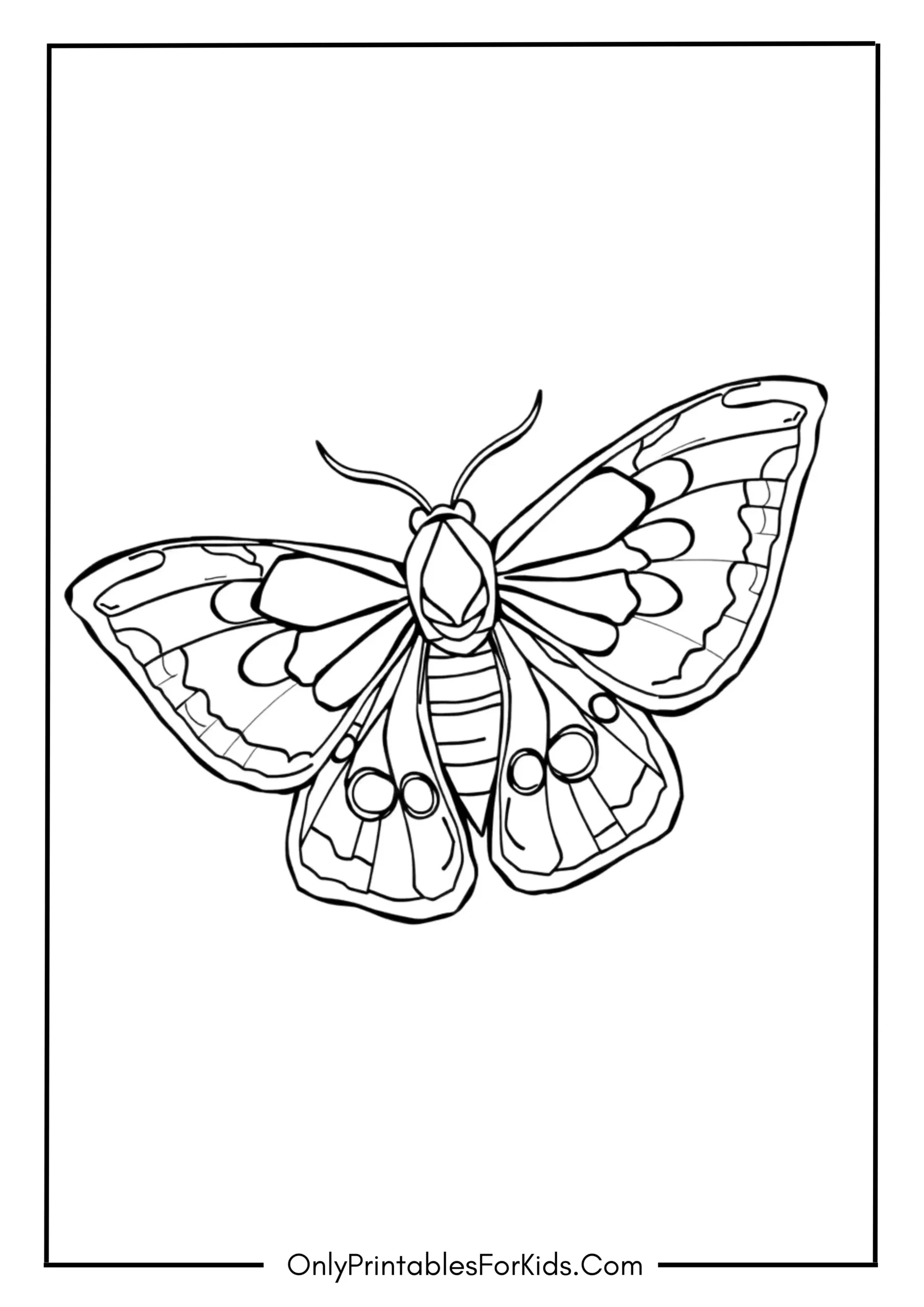 Moth Coloring Page
