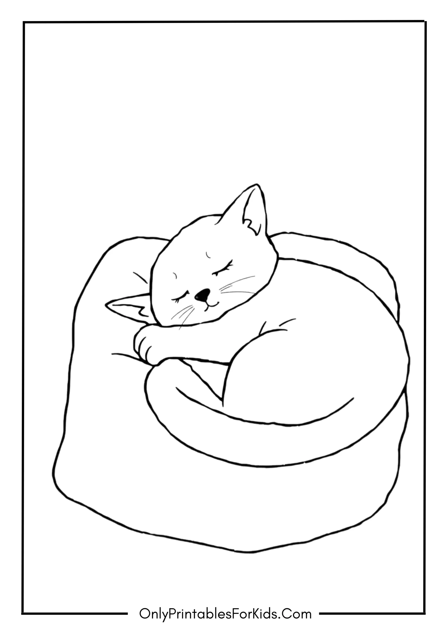 Sleepy Cat on a Cozy Pillow