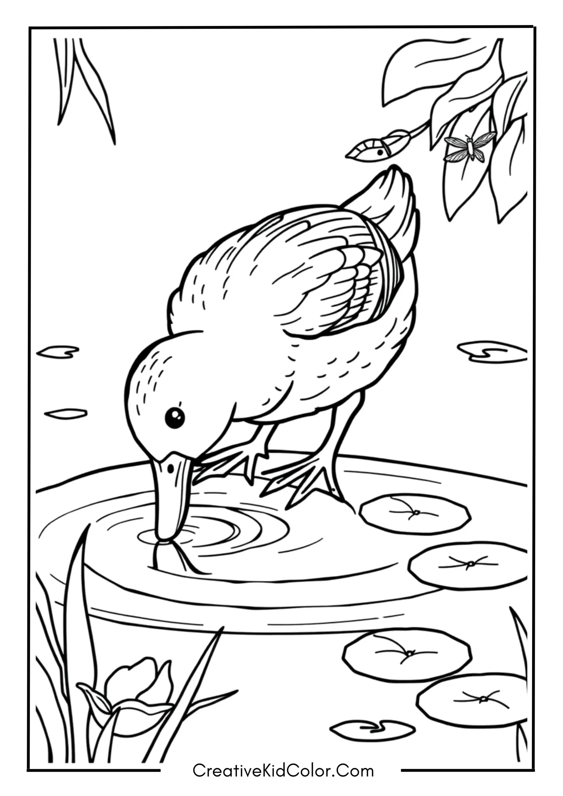 Duck Coloring Pages for Kids to Print and Color 5 Duck Drinking Water