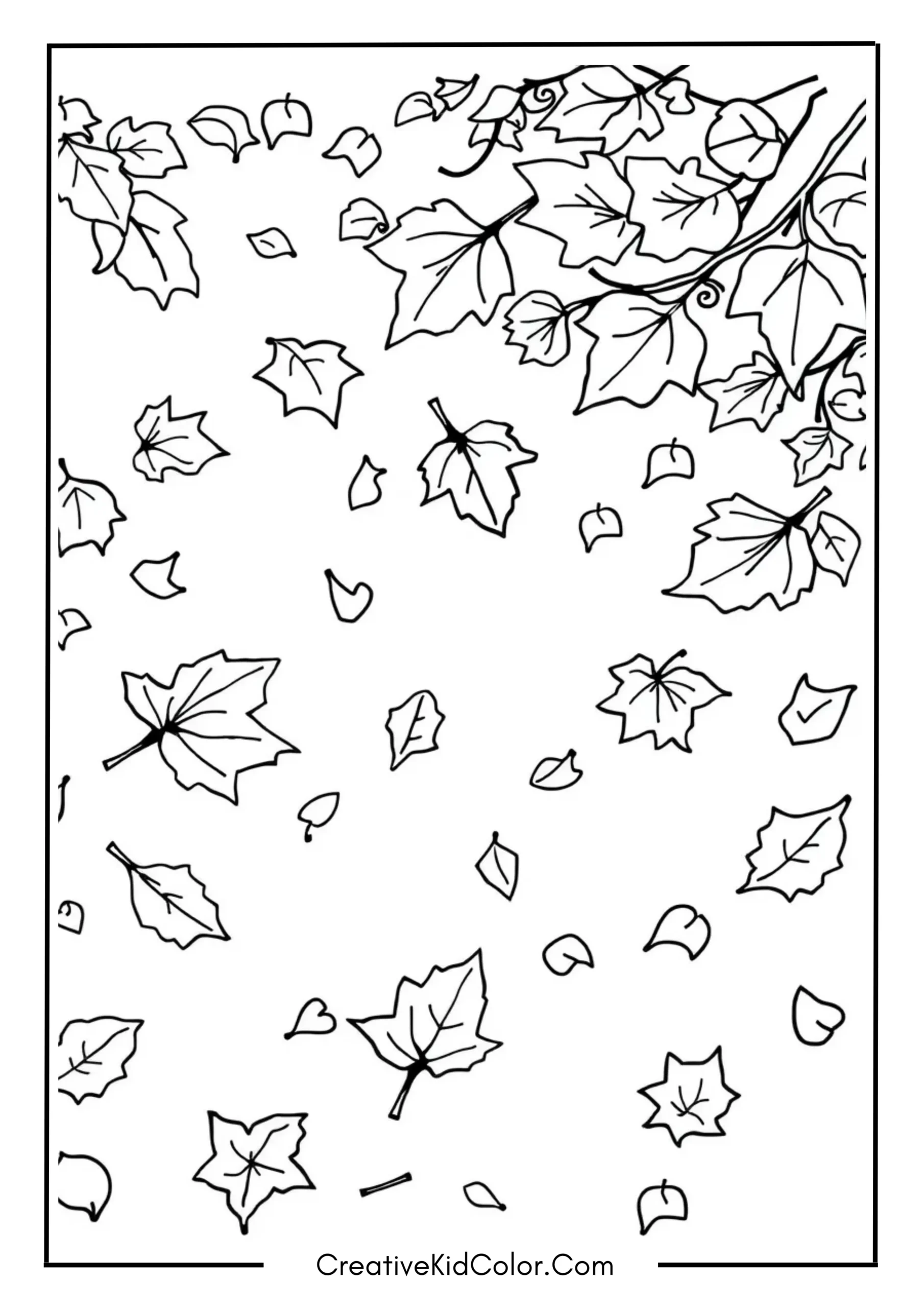 Fall Leaves Scattered on the Ground