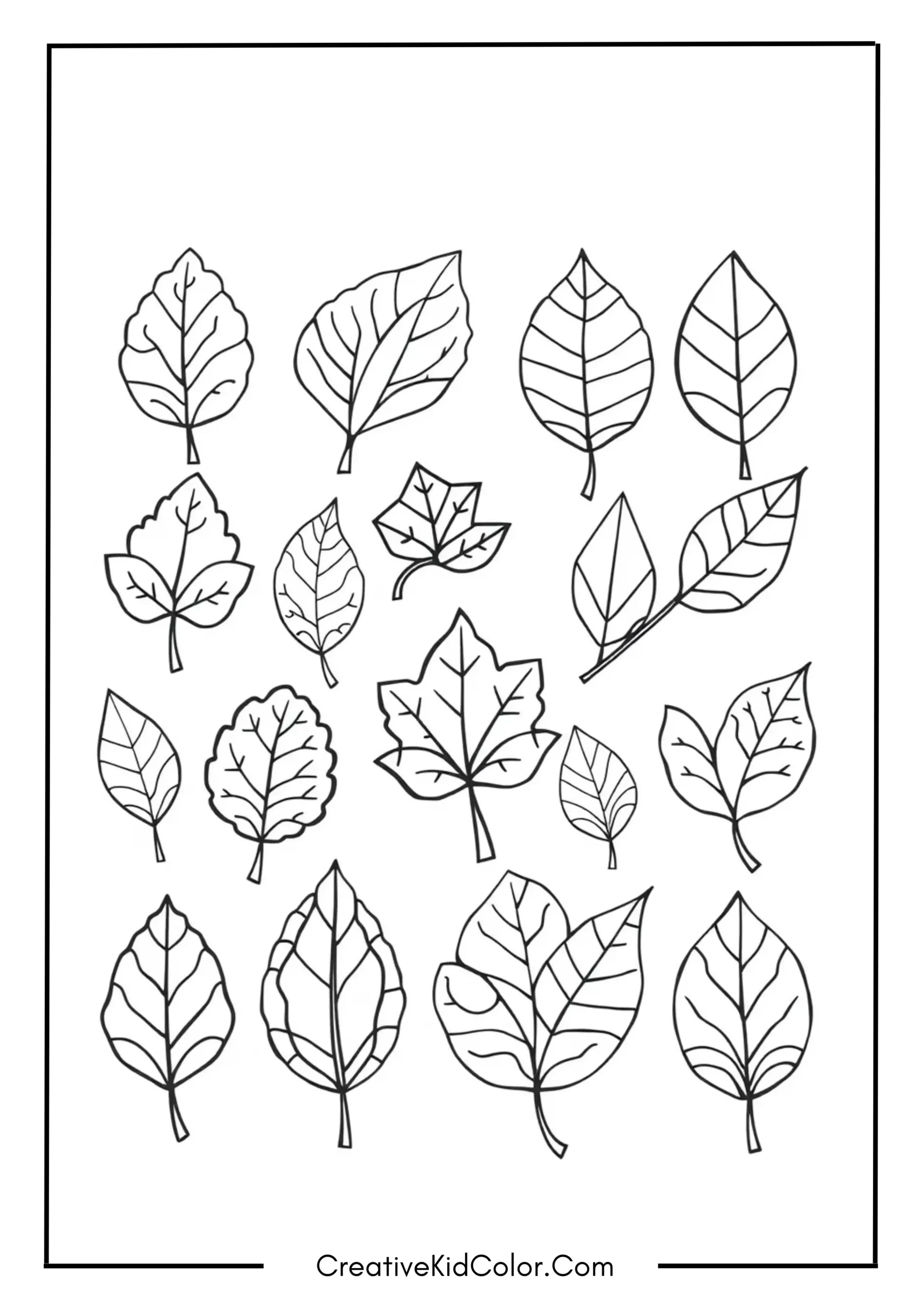 Leaf Collection Pattern Page