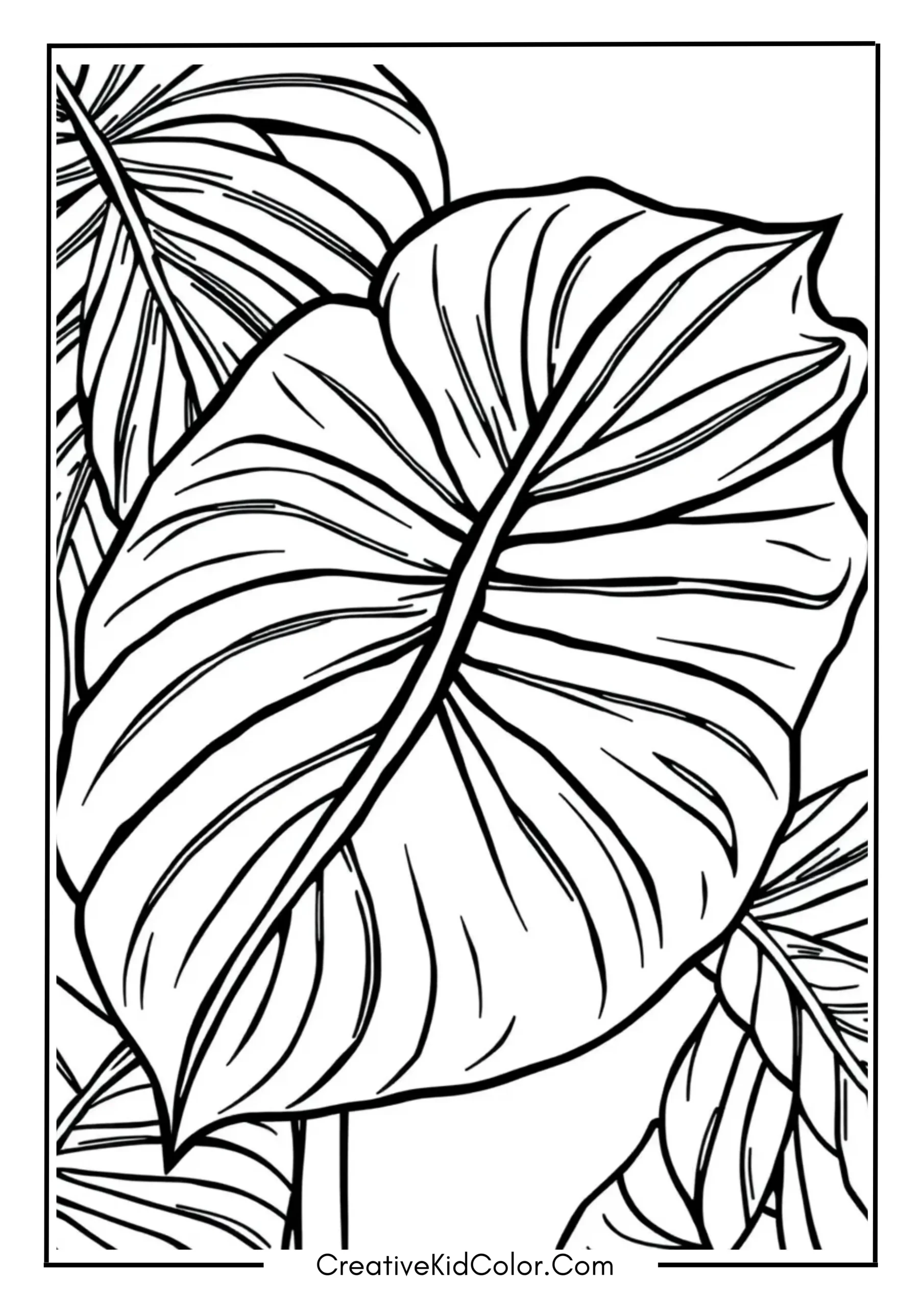 Tropical Leaf with Big Shape